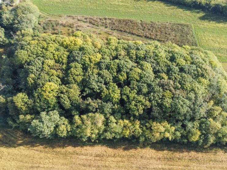 terreno agricolo