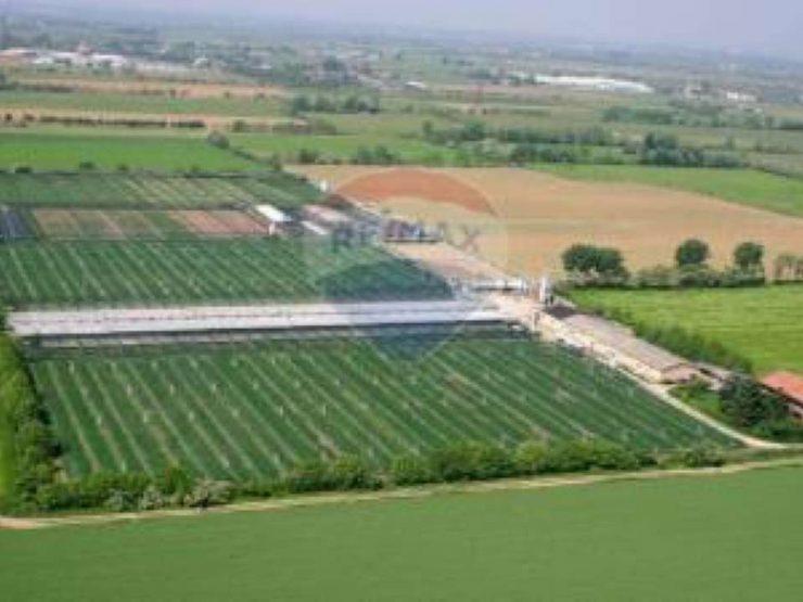 Vendesi Azienda agricola avicola