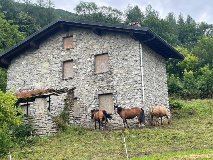 CASCINA AD ALBINO CON 10.000MQ DI TERRENO