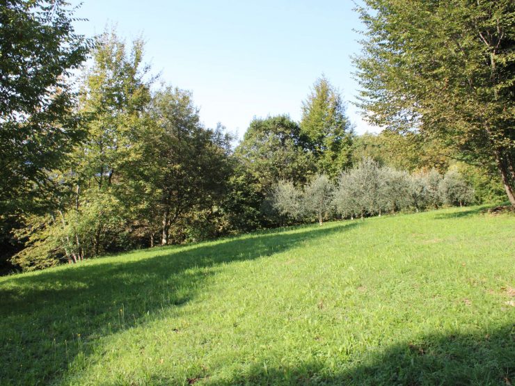 TERRENO AGRICOLO AD ALBENZA ALMENNO SAN BARTOLOMEO