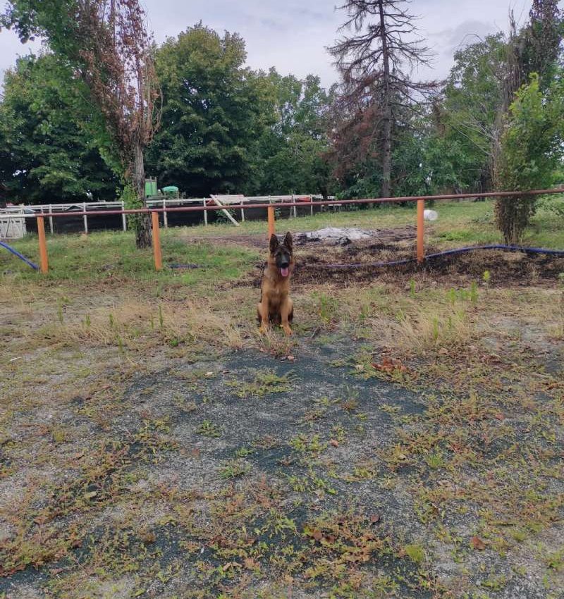 AZIENDA AGRICOLA A INZAGO